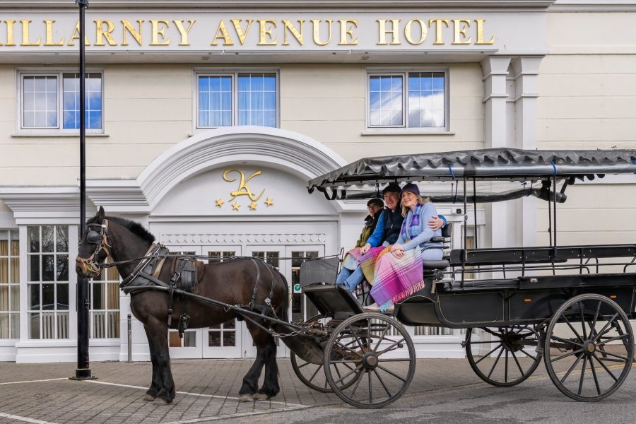 Killarney Avenue Hotel