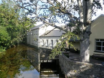 Flynns of Termonfeckin