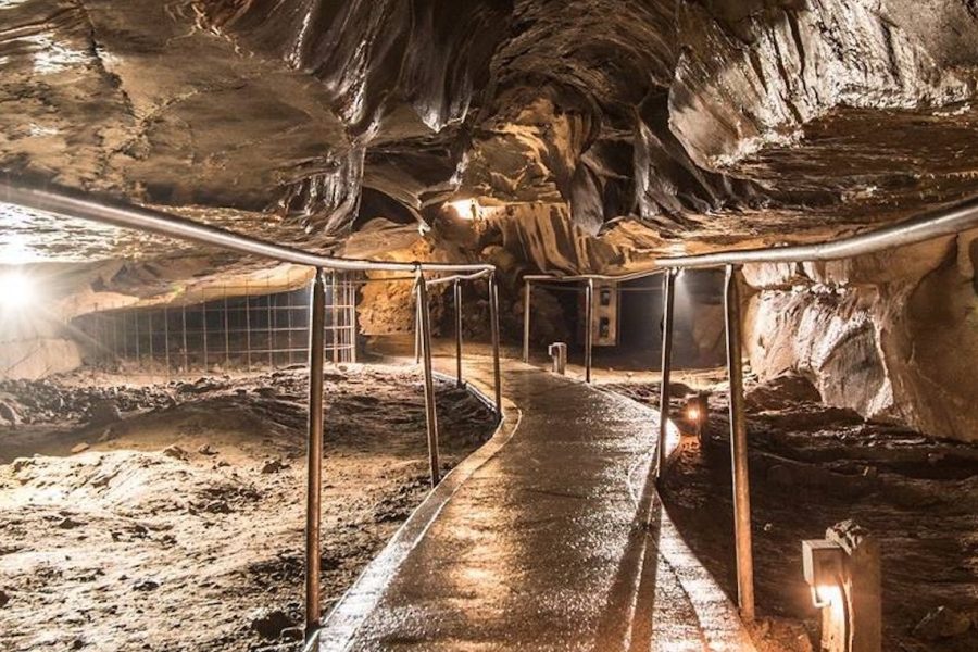 Aillwee Burren Experience