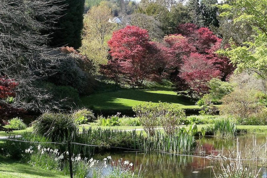 Mount Usher Gardens
