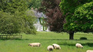 Glenlohane Country House & Cottage