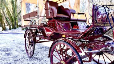 McCarthy’s Killarney Carriage Rides