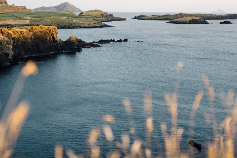 Killarney Executive Tours